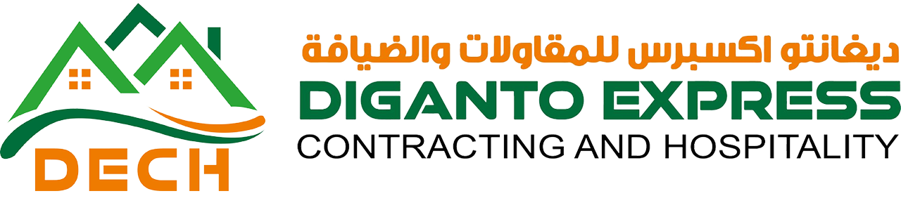 diganto-express & websolution-it